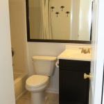 Modern Bathroom Renovation Services
